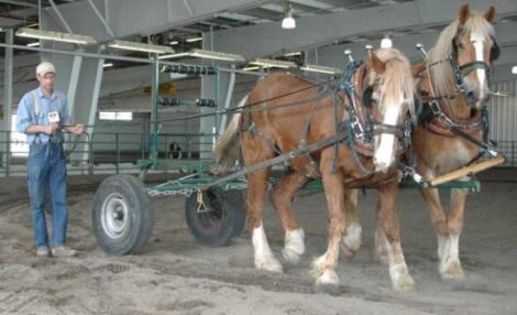 Working Draft Horse Demonstrations at the MOTHER EARTH NEWS FAIR Image
